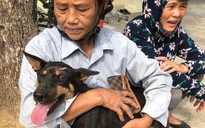 Vụ triệt phá băng nhóm trộm chó hơn 100 tấn: ACPA hỗ trợ chăm sóc chó bị thương