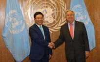 Việt Nam coi trọng hợp tác với Liên Hiệp Quốc