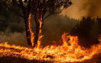 Úc: Cháy rừng hai bang nhập một, "siêu hỏa ngục" hình thành