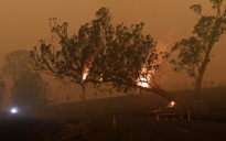 Úc bắt giữ 24 người “đổ thêm dầu vào lửa” giữa thảm họa cháy rừng
