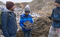 Đi dã ngoại, cậu bé 12 tuổi tìm ra "quái thú" 69 triệu tuổi