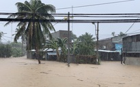 Khánh Hòa: Thiệt hại ban đầu do bão số 12