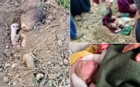 Ấn Độ: Thấy đầu trẻ sơ sinh thò ra khỏi đống đất lúc đang làm đồng