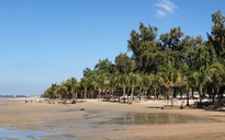 Lấn đất, trồng hàng trăm cây dừa ở bãi biển