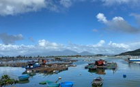 Đà Nẵng: Khó giải tỏa lồng bè nuôi cá trái phép