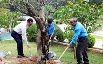 Khánh Hòa: Ấm áp ân tình phong trào "Tìm ảnh cho anh"