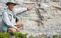 Tổ "quái thú" hóa đá tiết lộ bí ẩn giống loài 115.000 năm vẫn sống khỏe