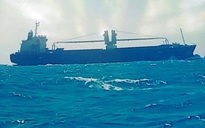 Khẩn trương cứu nạn 15 thủy thủ tàu nước ngoài chìm trên biển Bình Thuận