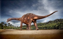 Thứ loài người sợ hãi từng quật ngã "quái thú" 85 triệu tuổi, lớn nhất thế giới