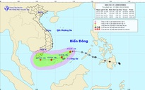 UBND TP HCM ra công văn khẩn, chỉ đạo ứng phó bão số 14