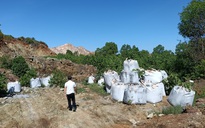 Mang chất thải từ Ninh Bình về Thanh Hóa đổ trộm, bị phạt 80 triệu đồng