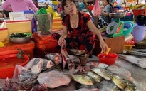 Tiểu thương vô tư xẻ thịt rùa xanh quý hiếm bán ở chợ Hà Tiên
