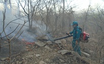 Bình Thuận: Rừng Tà Cú phát cháy