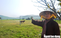 Quảng Bình: Lo ngại dự án giết mổ heo "uy hiếp" chùa cổ, nhà dân