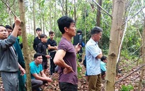 Quảng Bình: Một người đàn ông chết trong tư thế treo cổ ở vườn keo