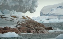 Tàu thám hiểm Nam Cực lạc đến "hoang đảo ma" phủ đá hoa cương