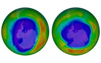 Tầng ozone bảo vệ trái đất được chữa lành