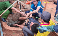 Phú Yên: Tảo giếng bị ngạt khí, 2 người chết
