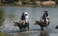 Quảng Nam an toàn, mến khách