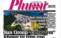 Báo Phụ nữ TP HCM bị đình bản báo điện tử 1 tháng, phạt 55 triệu đồng