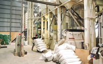 Doanh nghiệp "xù" hợp đồng gạo dự trữ quốc gia tiếp tục đi đấu thầu