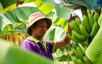 Chữ tín và môi trường kinh doanh
