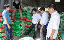 Phát hiện hơn 4 tấn lúa giống nhái thương hiệu ST 24