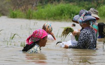 Dự án hồ thủy lợi ngàn tỉ gây nhiều hệ lụy