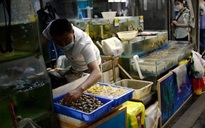 Trung Quốc phát hiện virus gây Covid-19 trên bao bì hải sản từ Indonesia