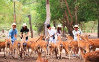 Du lịch Nha Trang mở cửa lại