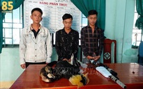 Ninh Thuận: Bắt giữ nhóm thanh niên săn bắn động vật quý hiếm