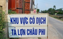 Heo chết do dịch, xã lệnh "nội bất xuất, ngoại bất nhập"