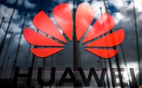 Tập đoàn Huawei nuôi cá bù lỗ cho mảng công nghệ sau những cú ra đòn từ Mỹ