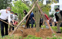 Thừa Thiên - Huế: Xây dựng môi trường "xanh, sạch, đẹp" tại đơn vị