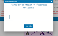 Cách đăng ký online nhận hỗ trợ theo Nghị quyết 116 với người lao động đã chấm dứt hợp đồng