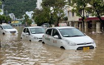 Mưa lớn kéo dài, nhiều nơi ở Bình Định chìm trong biển nước
