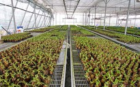 Lắng nghe người dân hiến kế: Ưu tiên chuyển đổi số trong lĩnh vực nông nghiệp