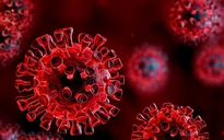 Cơ chế giúp nhiều người gần như miễn nhiễm SARS-CoV-2: triển vọng về "siêu vắc-xin"
