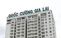 Vì sao không xử lý hình sự Tổng Giám đốc Quốc Cường Gia Lai vụ mua rẻ 32 ha đất công?