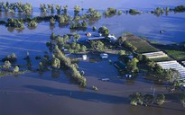 Úc: Chết kẹt trong xe hơi ngay ngày đầu nhận việc do lũ lụt kinh hoàng