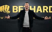 Kinh doanh cá cược, Zlatan Ibrahimovic lo bị hủy hoại sự nghiệp