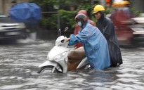 Khát khao thoát ngập