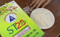 Gạo ST25 có “đại gia” lo chuyện bảo hộ thương hiệu ở nước ngoài