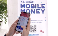 Mobile Money hiện thực giấc mơ mua mớ rau, con cá, đi trà đá... bằng di động