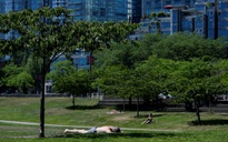 Canada: Hơn 34 người đột tử trong 1 ngày vì nắng nóng "vạn năm có một"