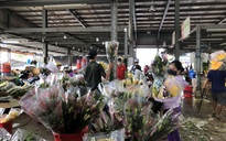 Chợ hoa Đầm Sen mong được sớm mở cửa trở lại