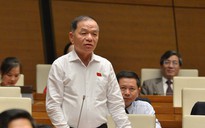 Đại biểu Quốc hội Lê Thanh Vân đề cập tới vụ "bánh mì không phải thực phẩm thiết yếu"