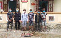 Nhóm thanh niên ở Quảng Bình giết trộm bò, xẻ lấy 4 đùi làm mồi nhậu