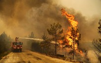 Cháy rừng hoành hành ở nhiều nước