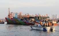 Đà Nẵng gỡ vướng cho 55 tàu cá mắc kẹt tại cảng Thọ Quang do dịch Covid-19